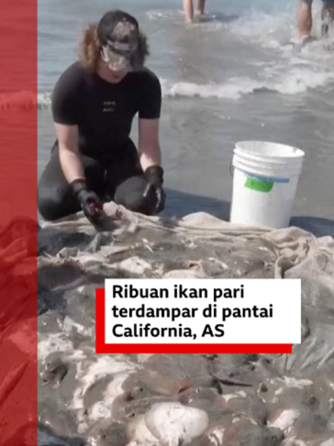 @bbcnewsindonesia