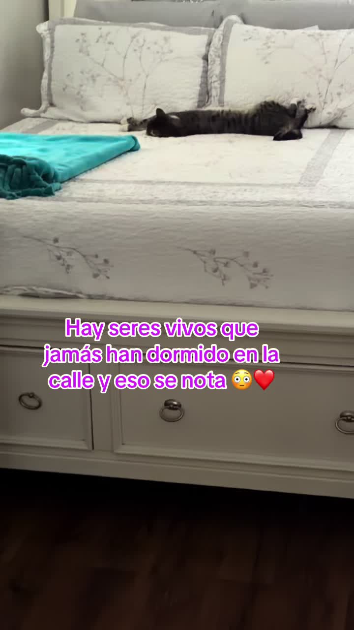 @Angie❤️
