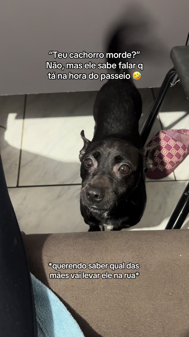 @Lisian Santos