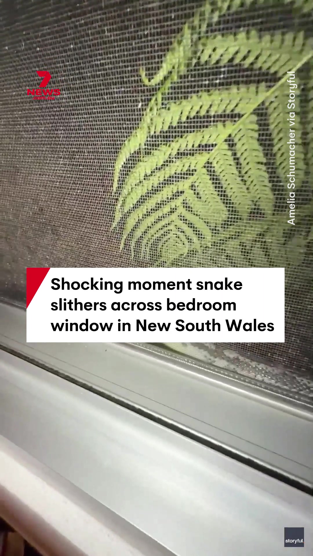 @7NEWS Australia