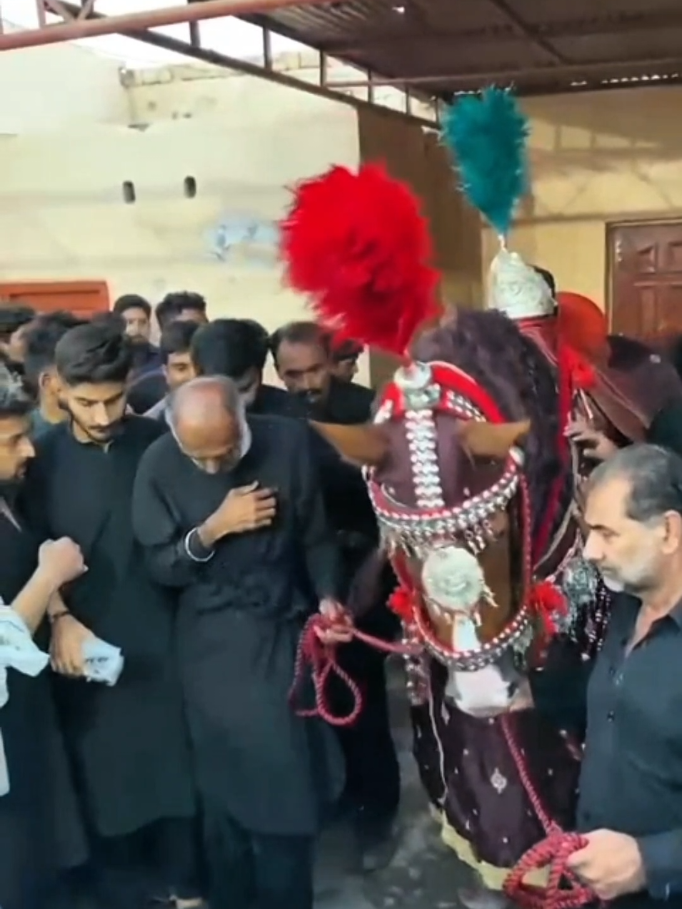 @مرکزی ذوالجناح تلہ گنگ