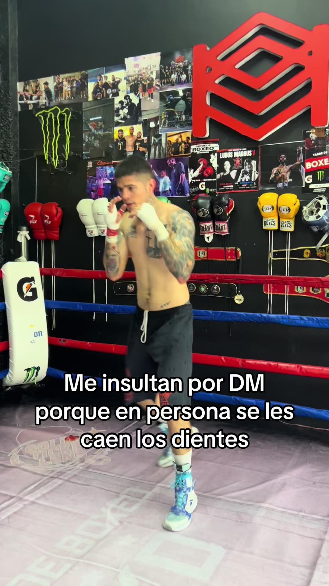@Nitro Goyri