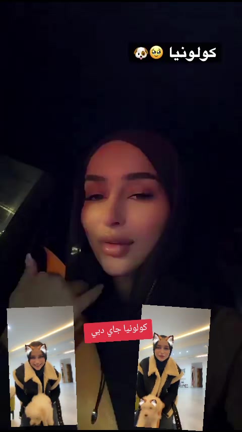 @Fox🦊