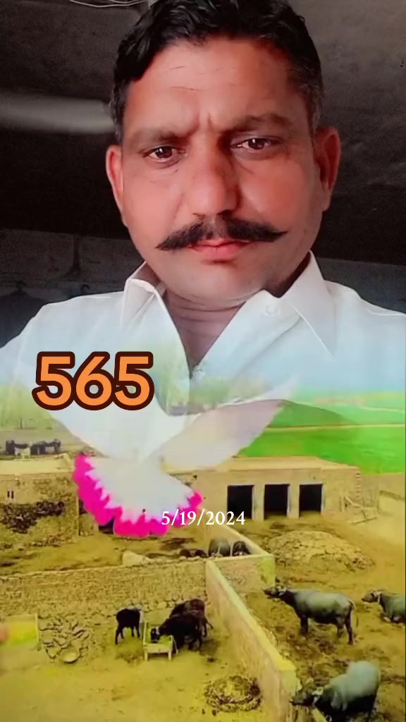 @Muhammad Aslam