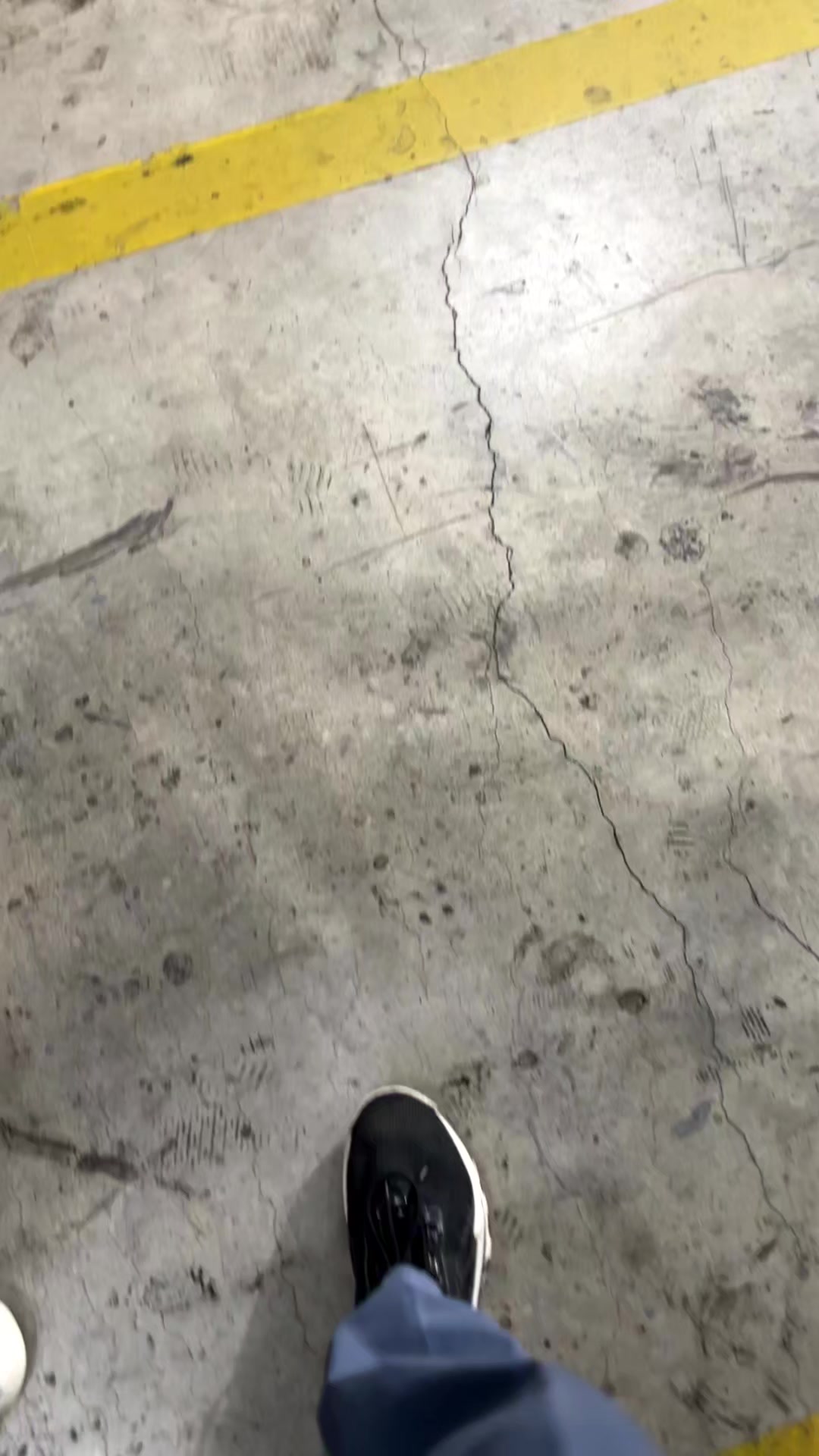 @vynexzz