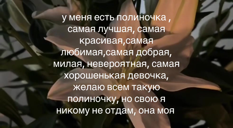 @люблю полину❤️