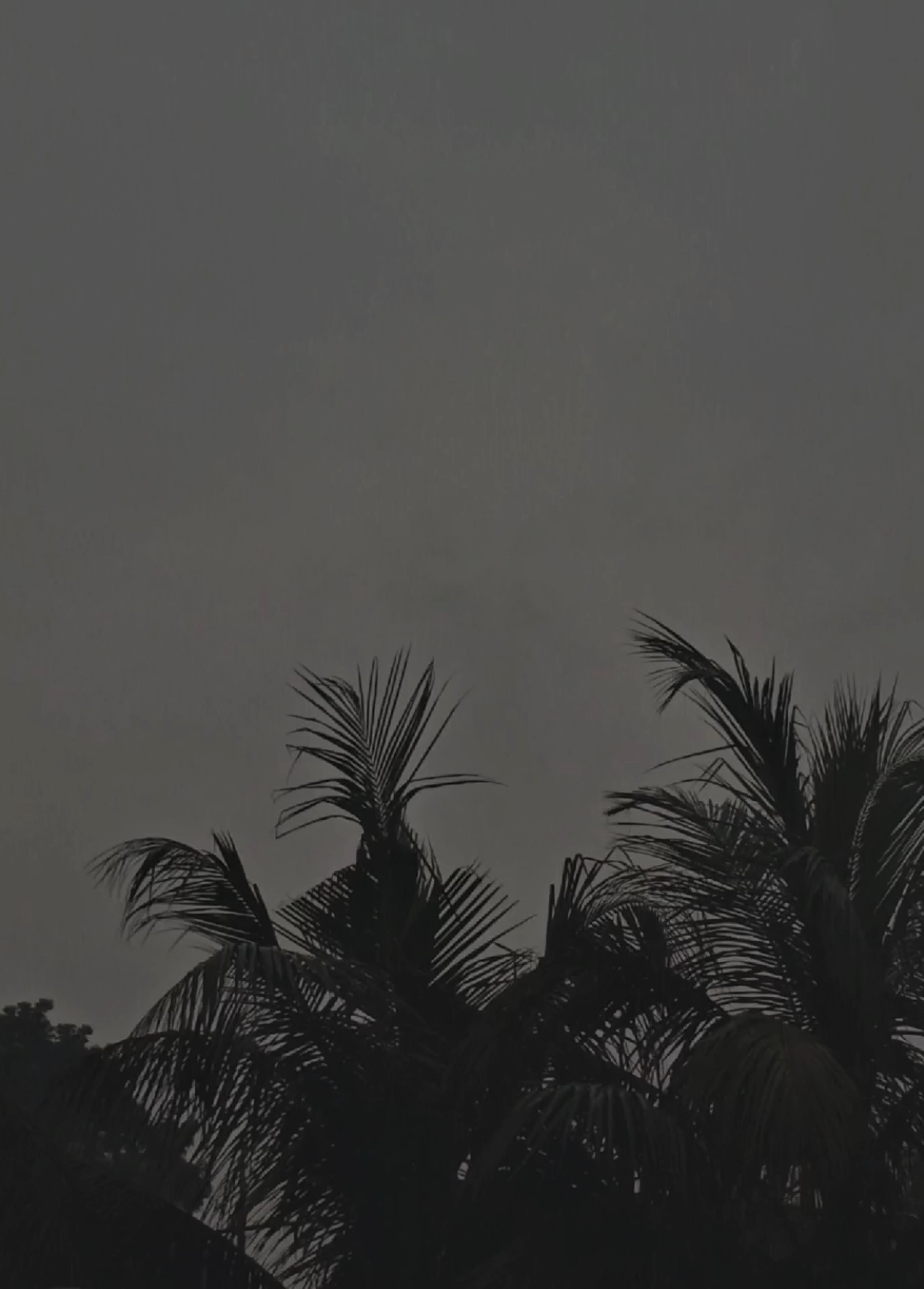@💫ᴀꜱʜɪᴋ... 🕊️🎧