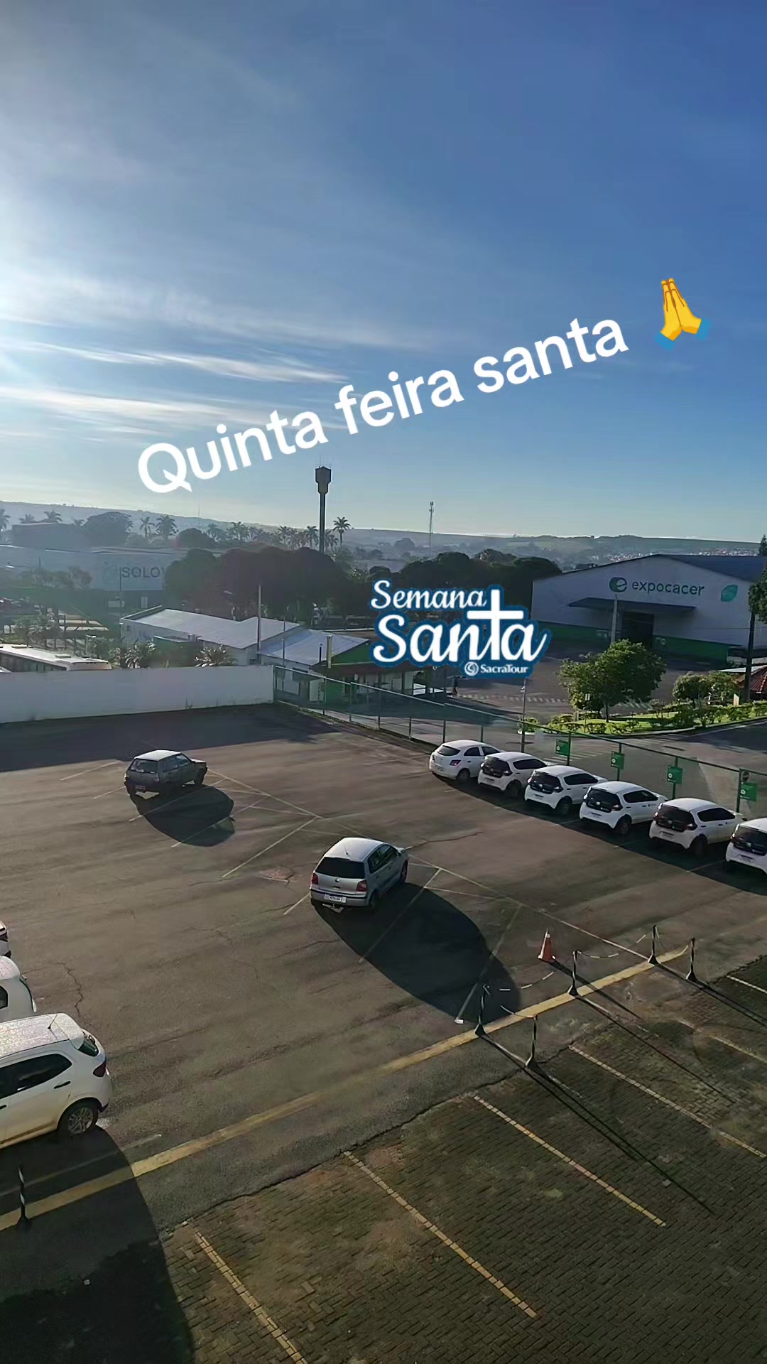 @aparecidamachado303