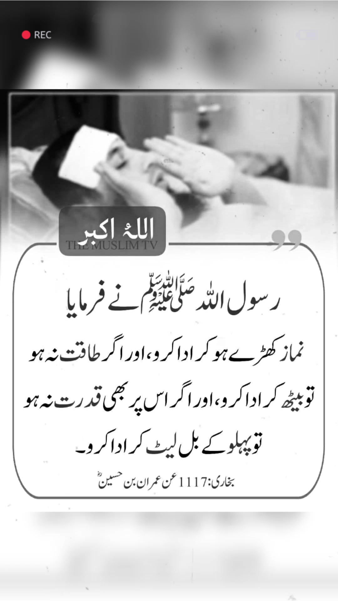 @❦︎❥︎mehar✰༆ ᶻᵘᵇᵃⁱʳ ༎ຶ✰