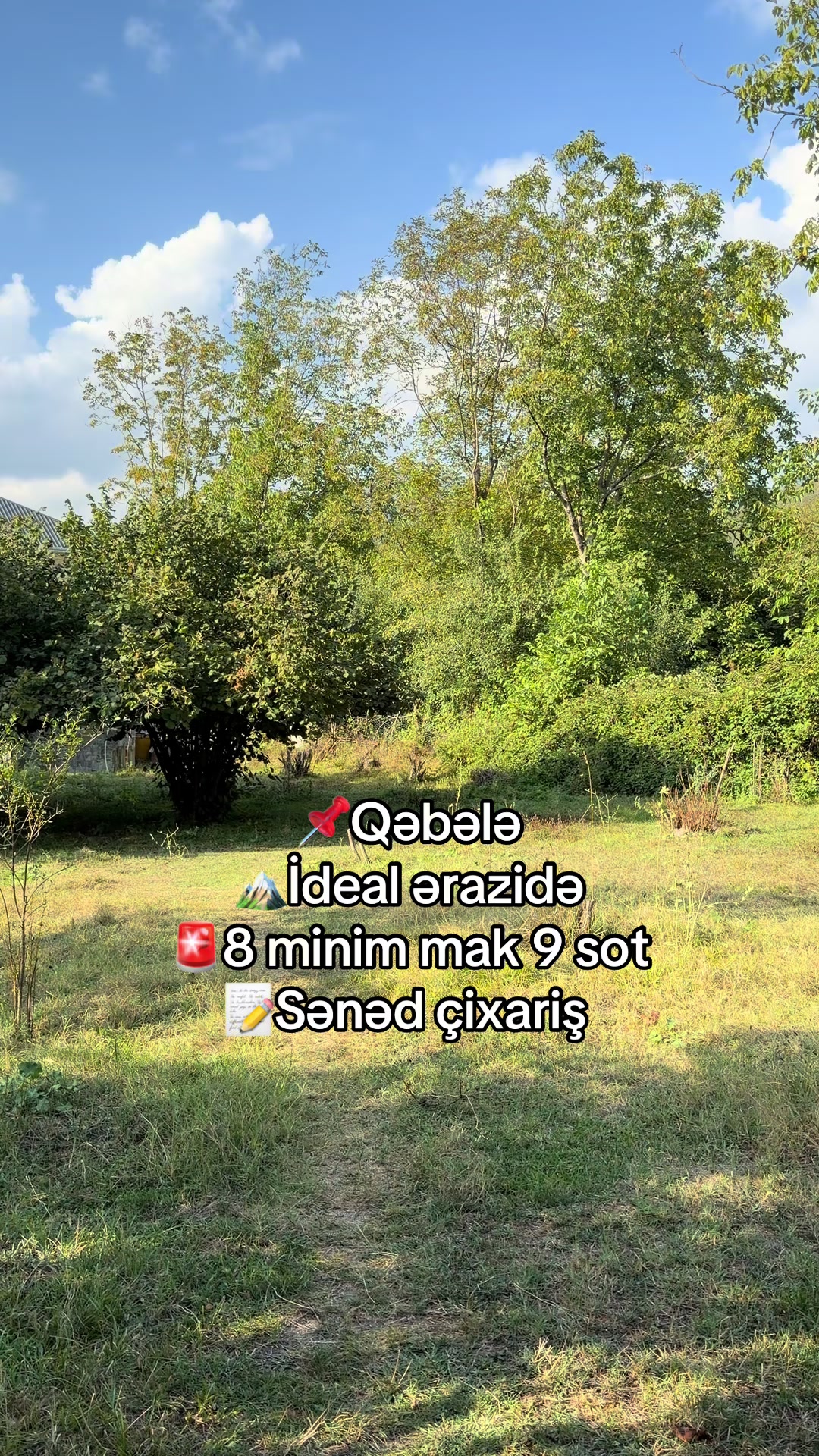 @Qəbələ Əmlak