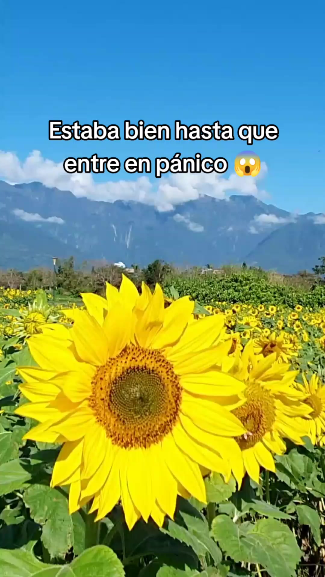 @EXO Guaraní 🇵🇾