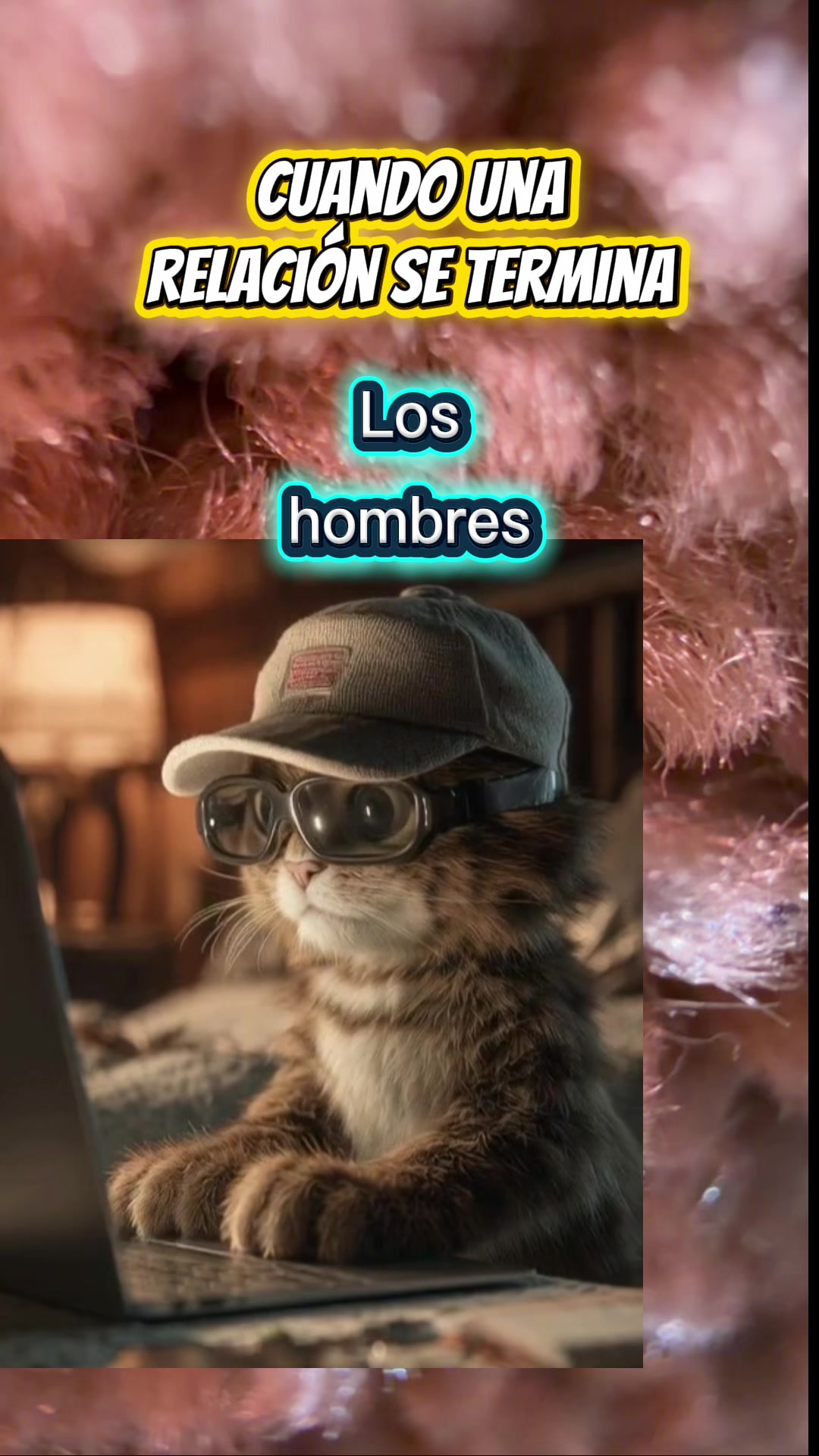 @Lili recomienda
