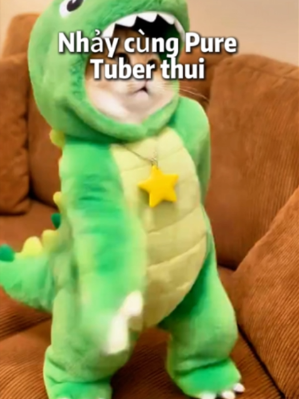 @Pure Tuber Vietnam