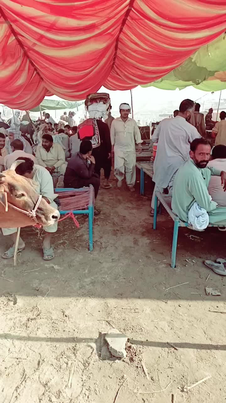 @muzamilwattoo19