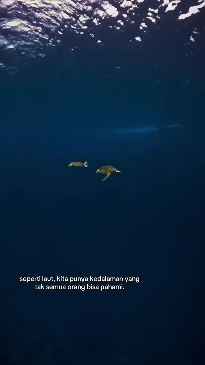 @D a p a a