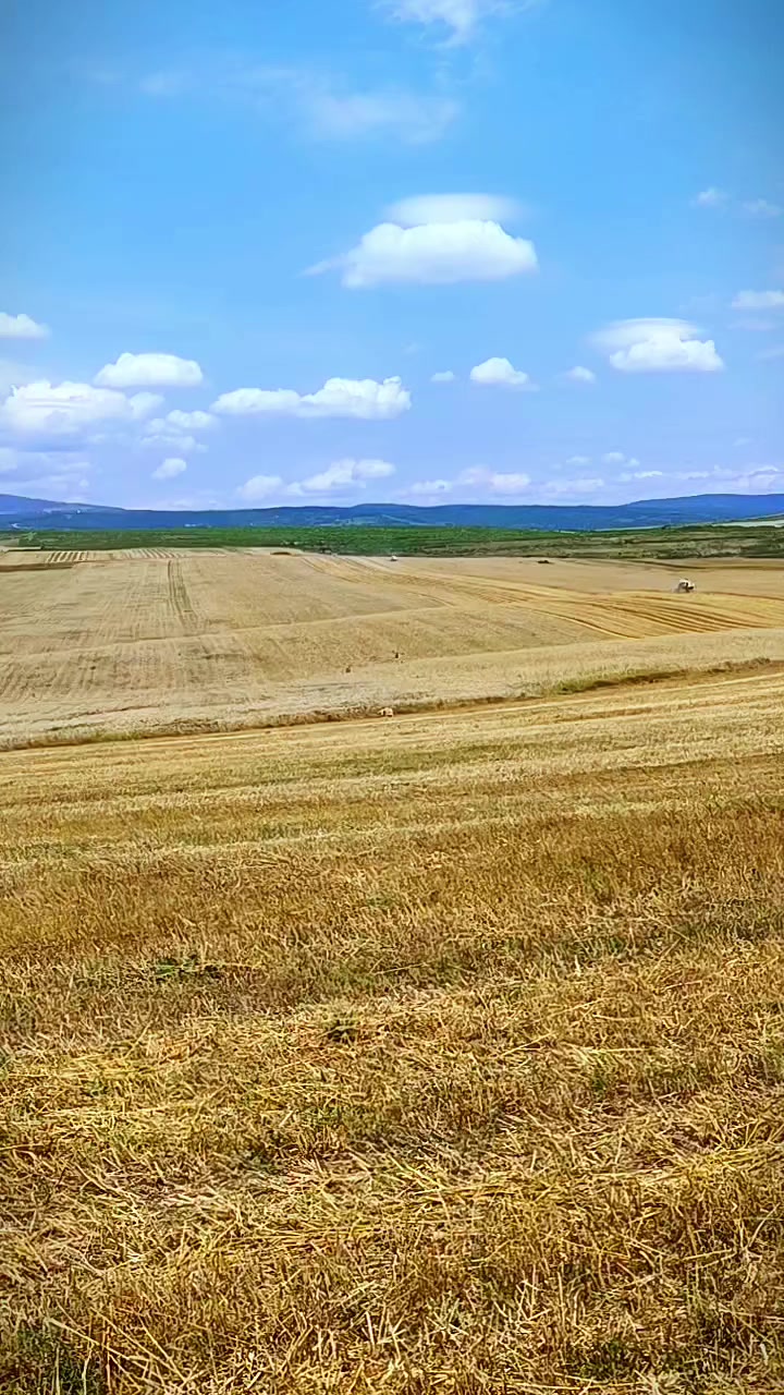 @🇬🇪TOLİK🇦🇿