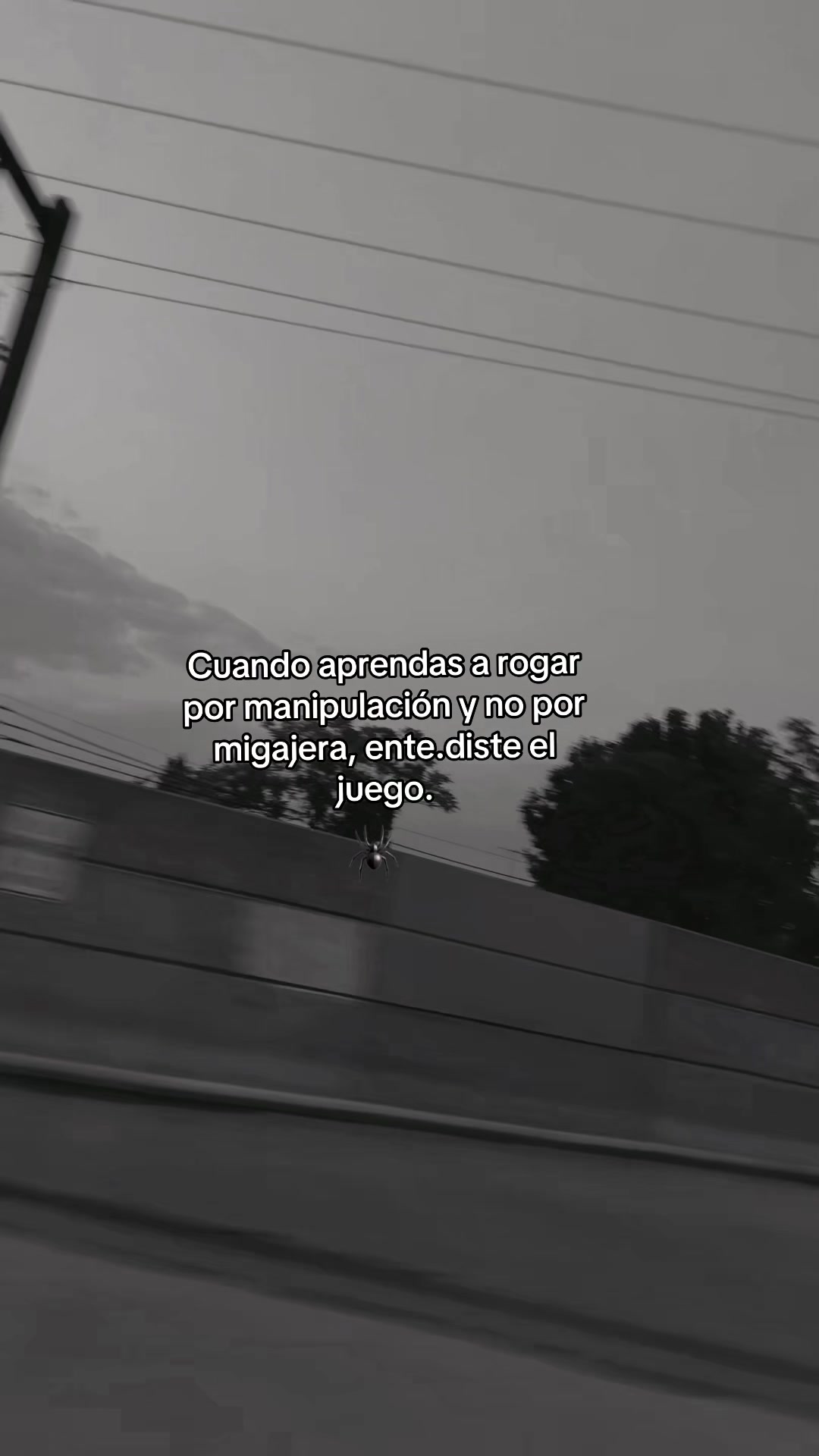 @Castillo 🦁🕸️🖤🕷️