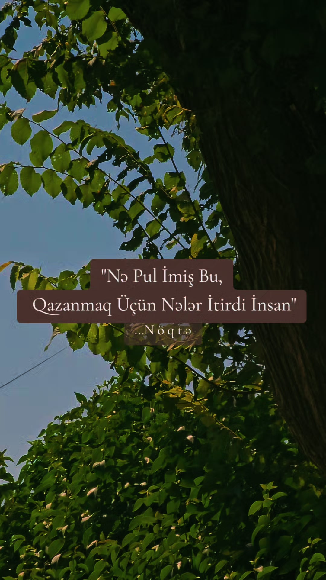 @...Noqte