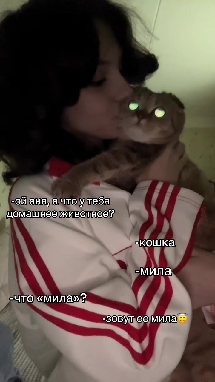 @медиатор