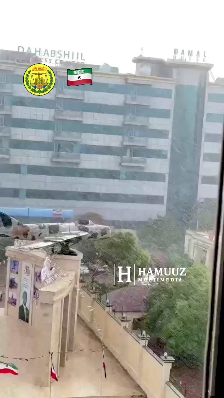 @Hamuuz🎥