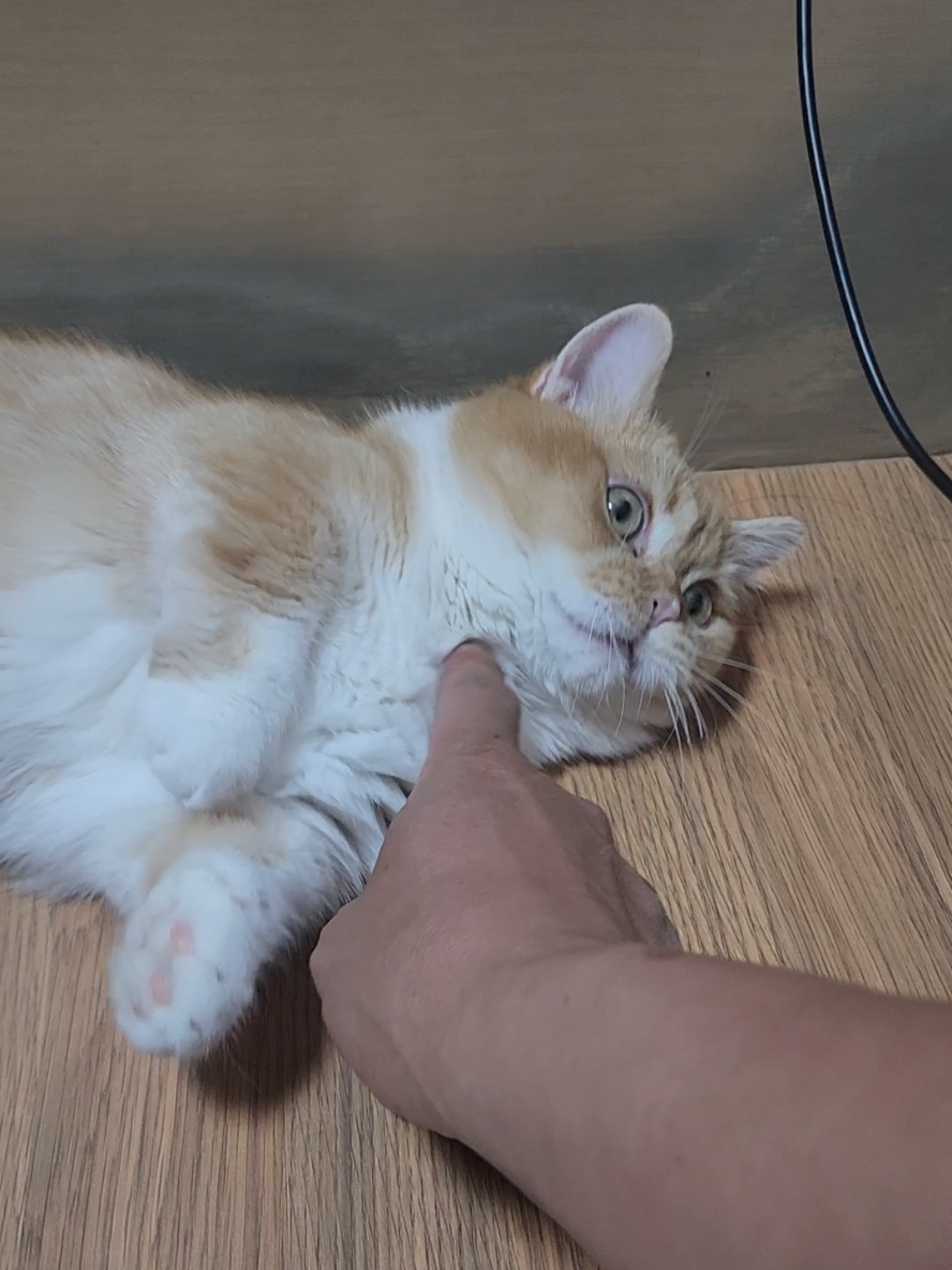 @박씨 거실
