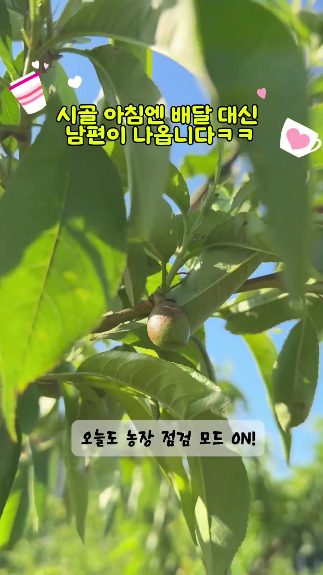 @은주네농원&복사자&알달달펍