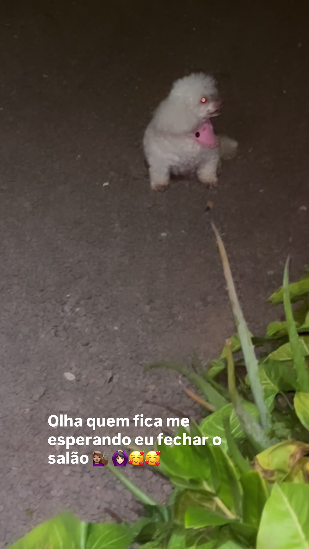 @LUH