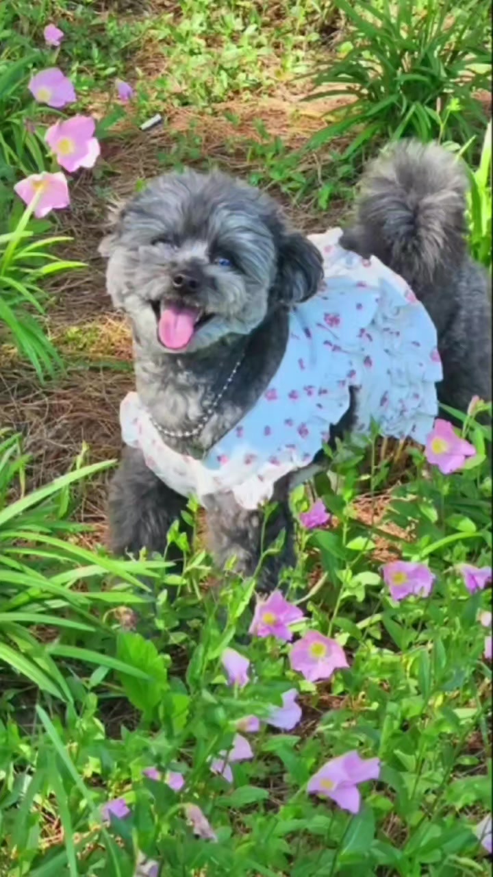 @복이🌲🌲🌲