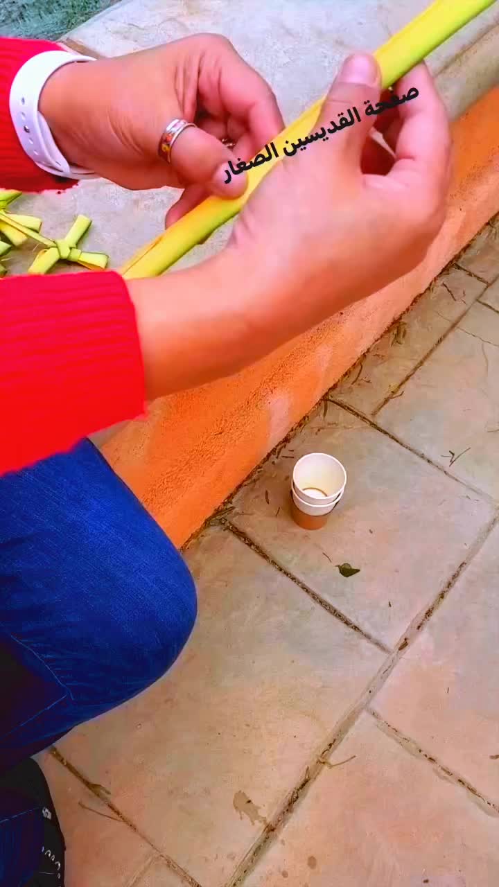 @أرثوذكسي التعليم