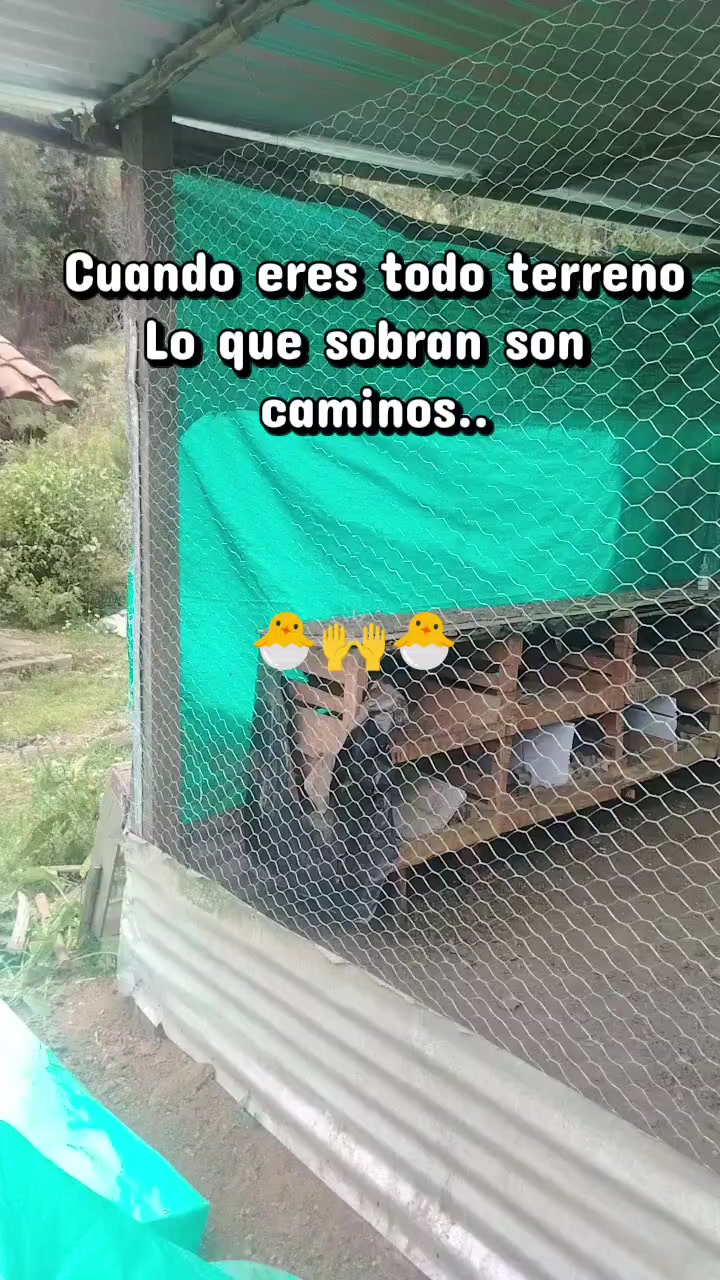 @🌎.🐬 N A T H Y 🇨🇴