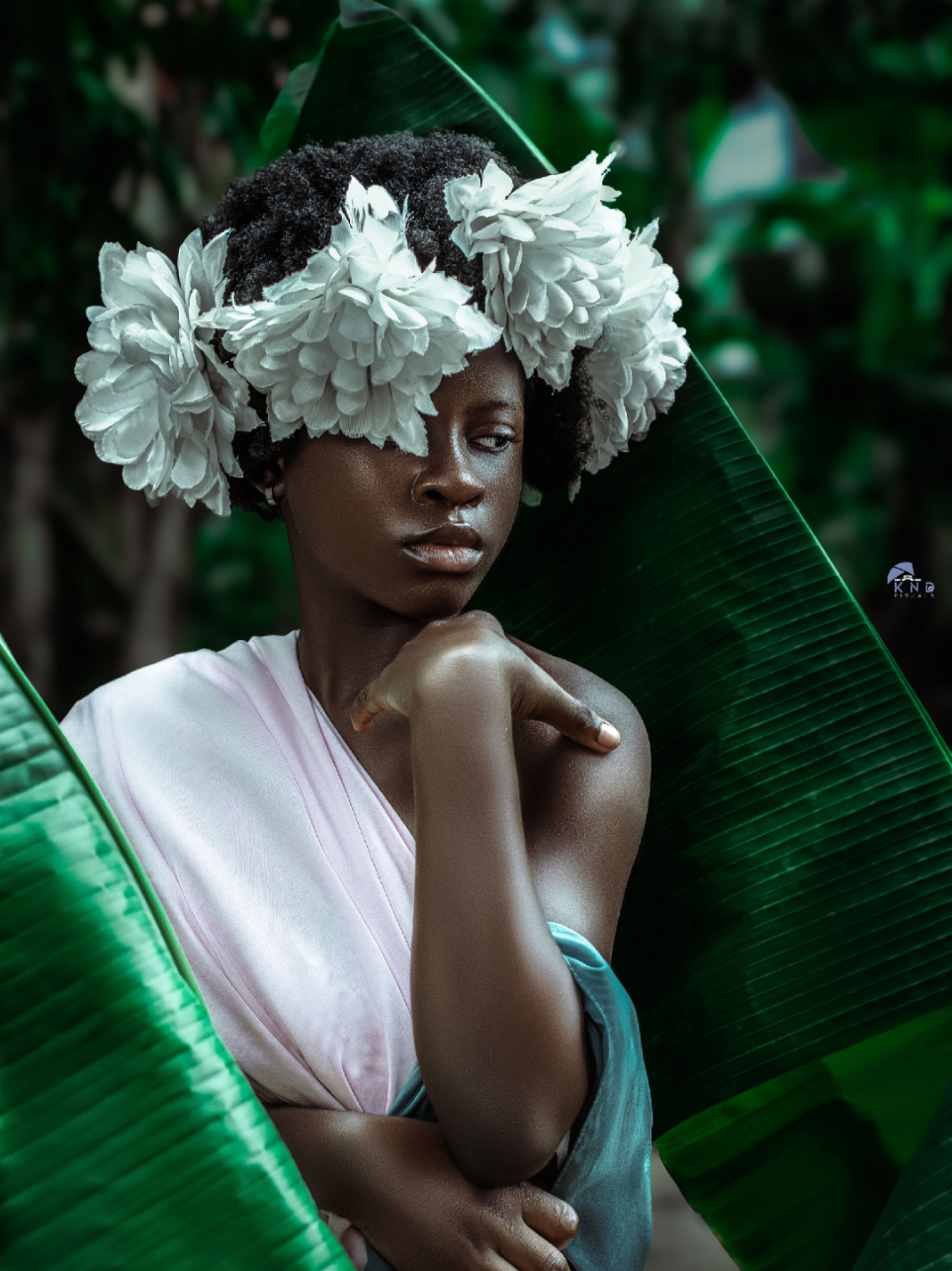 @k.n.d_visuals