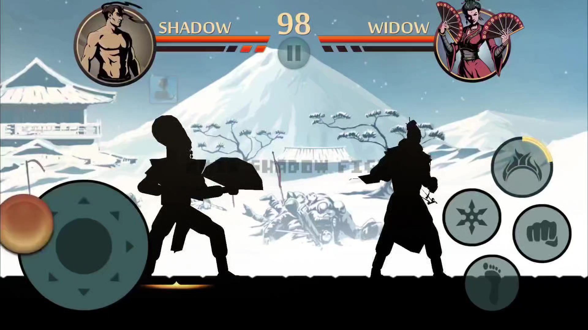 @Amir Shadow Fight