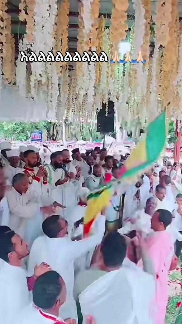 @አዲስዋ ልቤ ልብ ውልቅ ሀበሻና ሹፎን