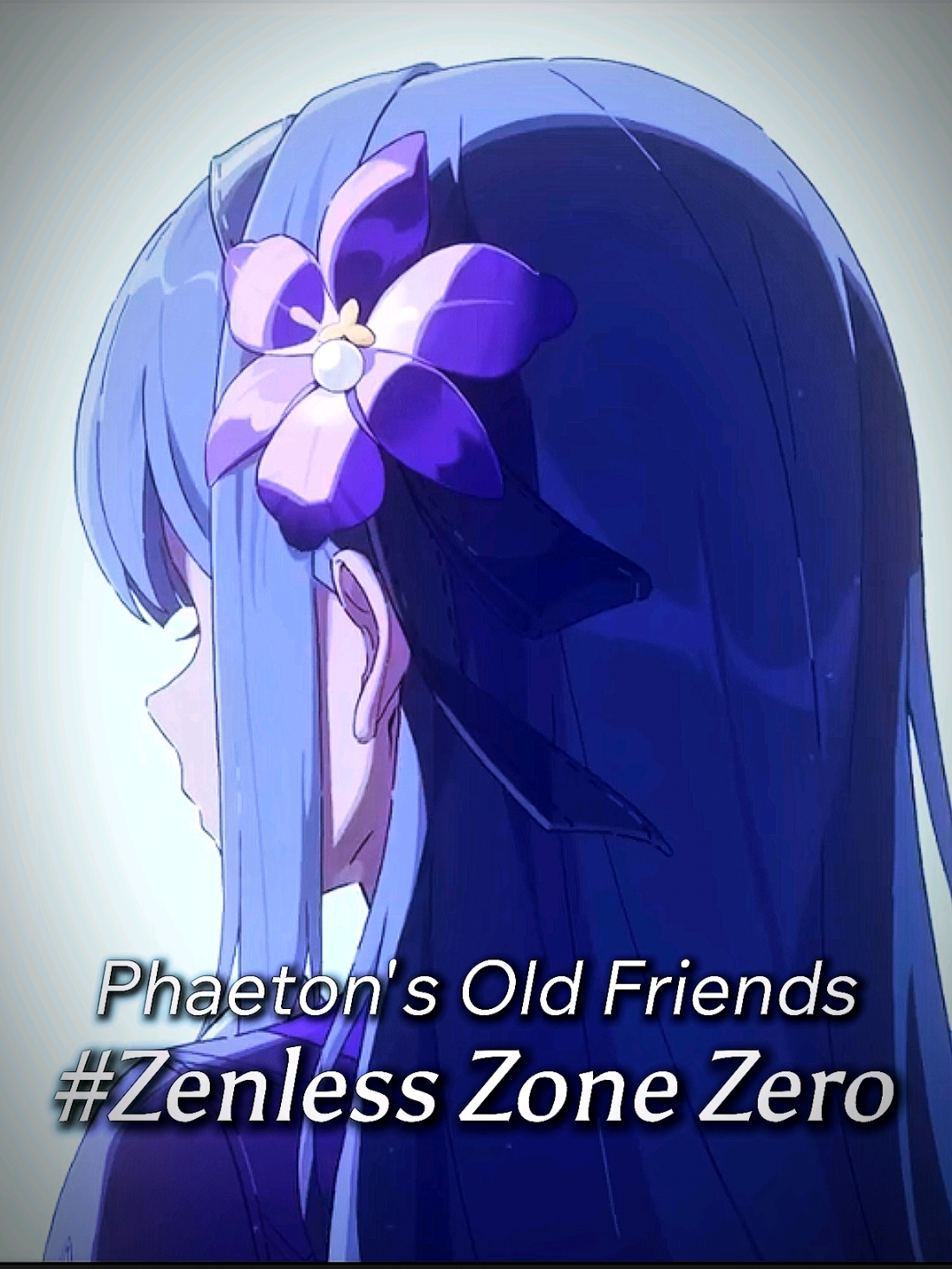 @Y&bull;Zeinx