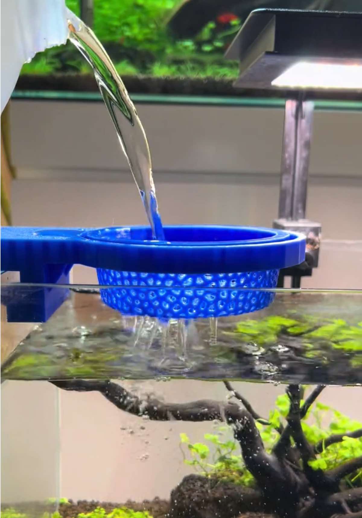 @Aquahusk