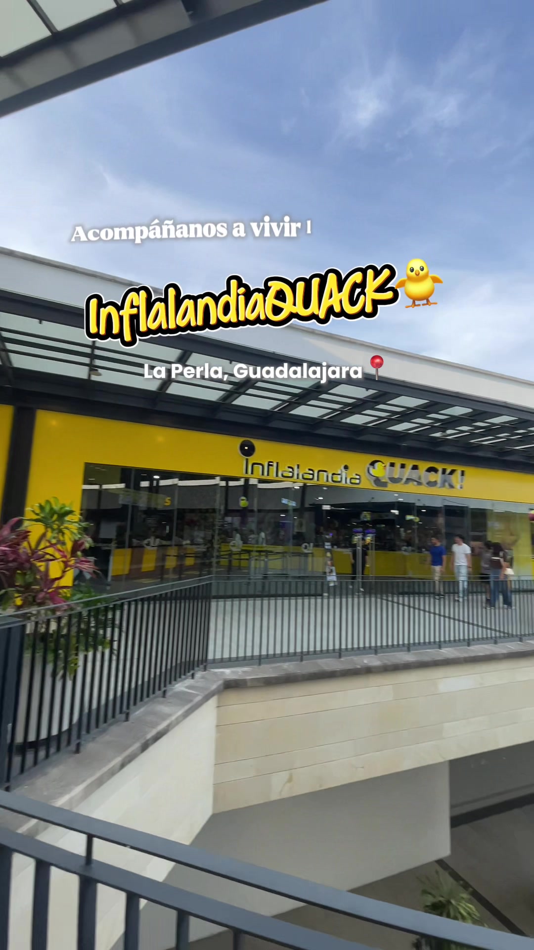 @Daniela Torres
