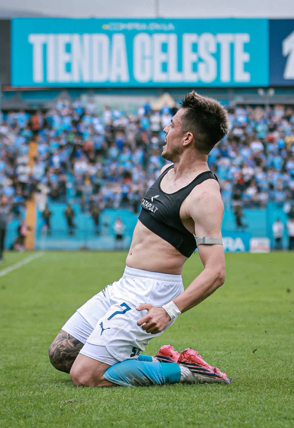 @Liga de F&uacute;tbol Profesional