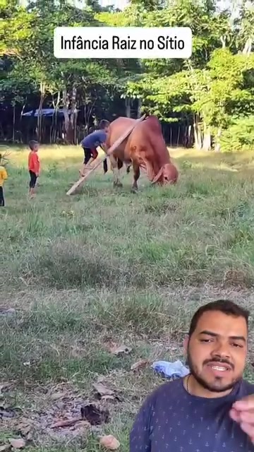 @Obrasilense