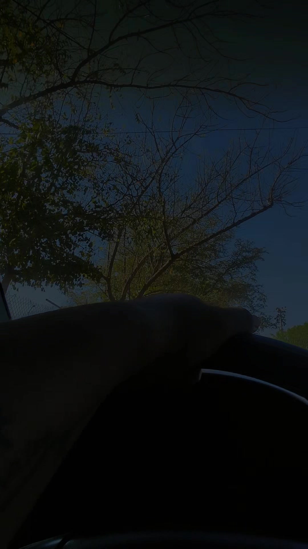 @Que bonito es lo 🐺 bonito🤠