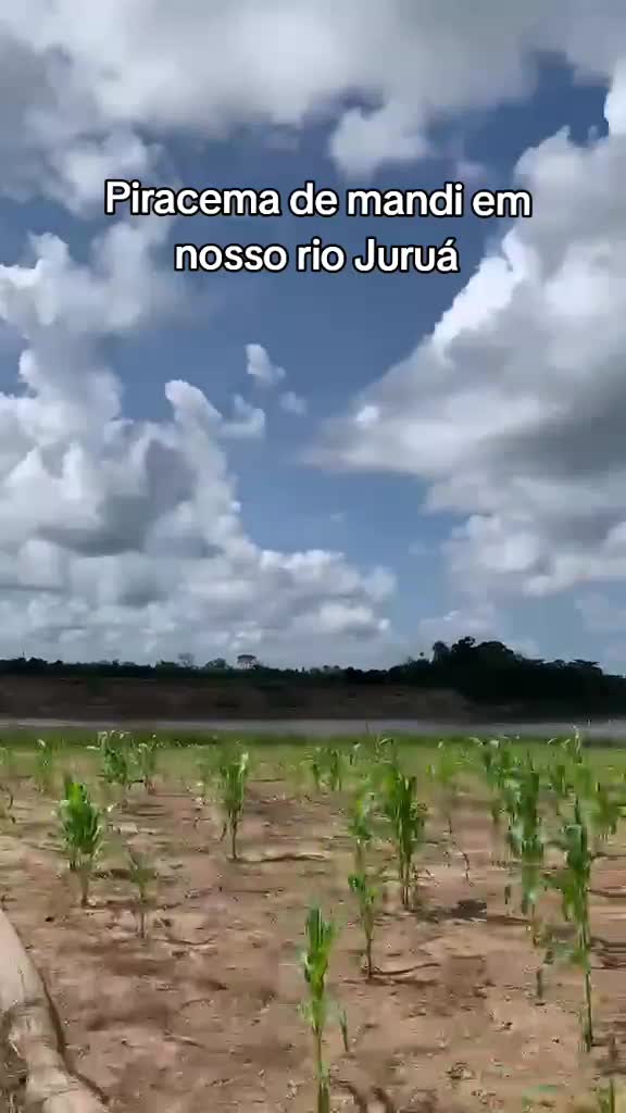 @gloriaczs