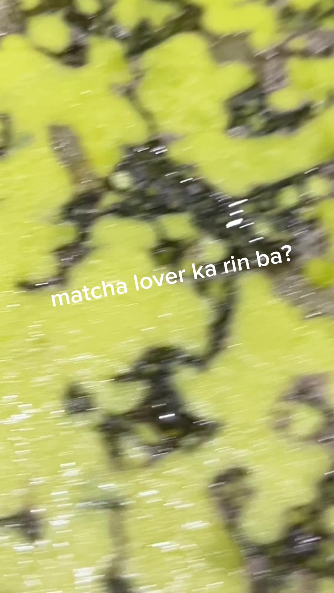 @SER BOKI