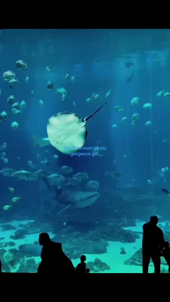 @RelatableStuffOnly