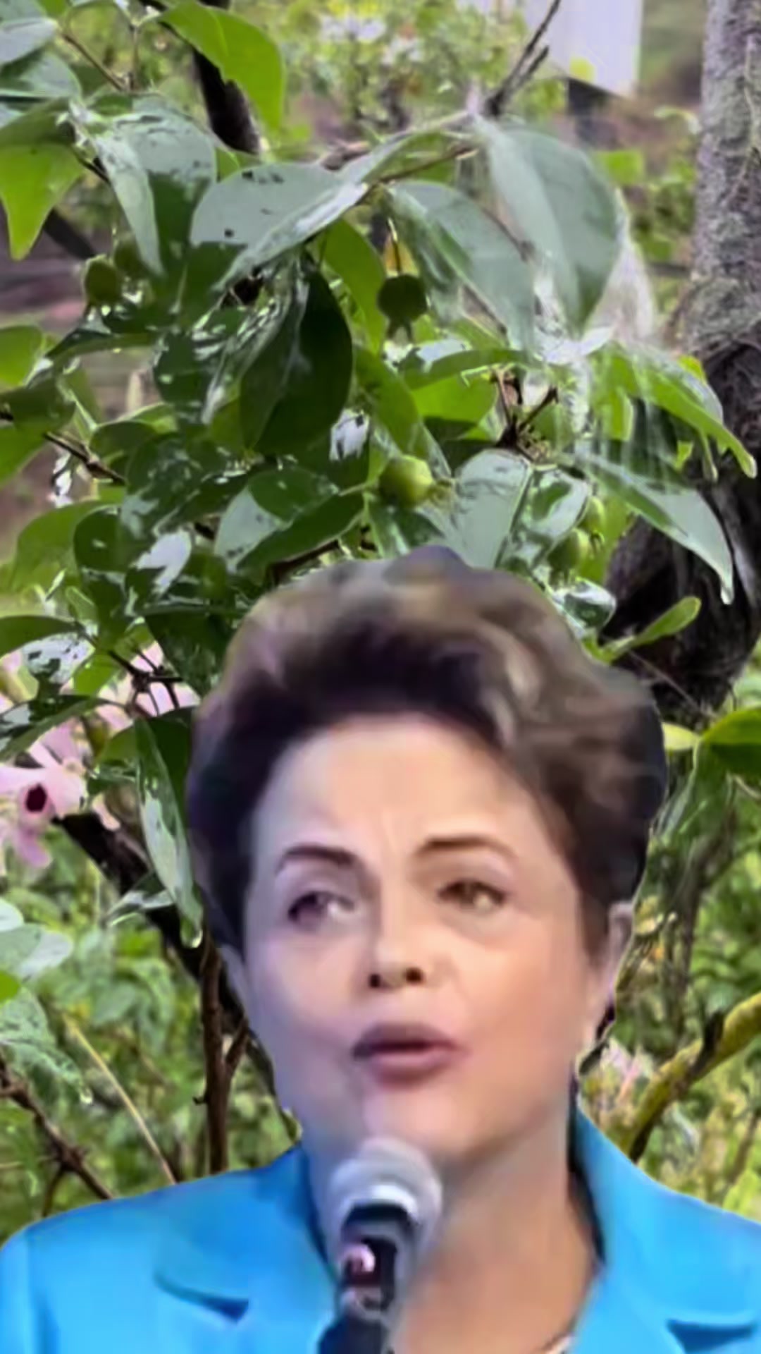 @⚡️🌻ELAINE PAIVA🌻⚡️