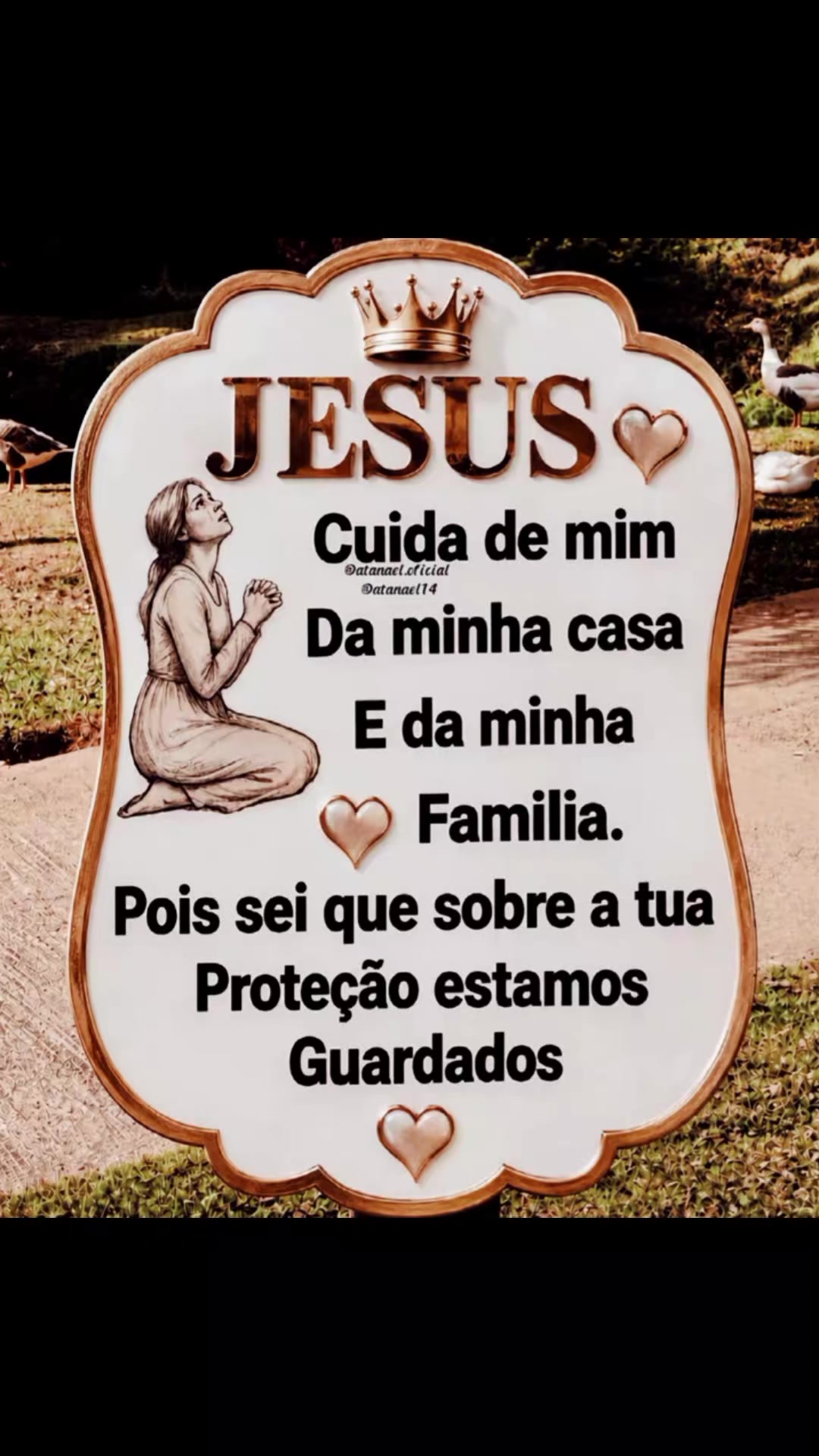 @Jos&eacute; Carlos