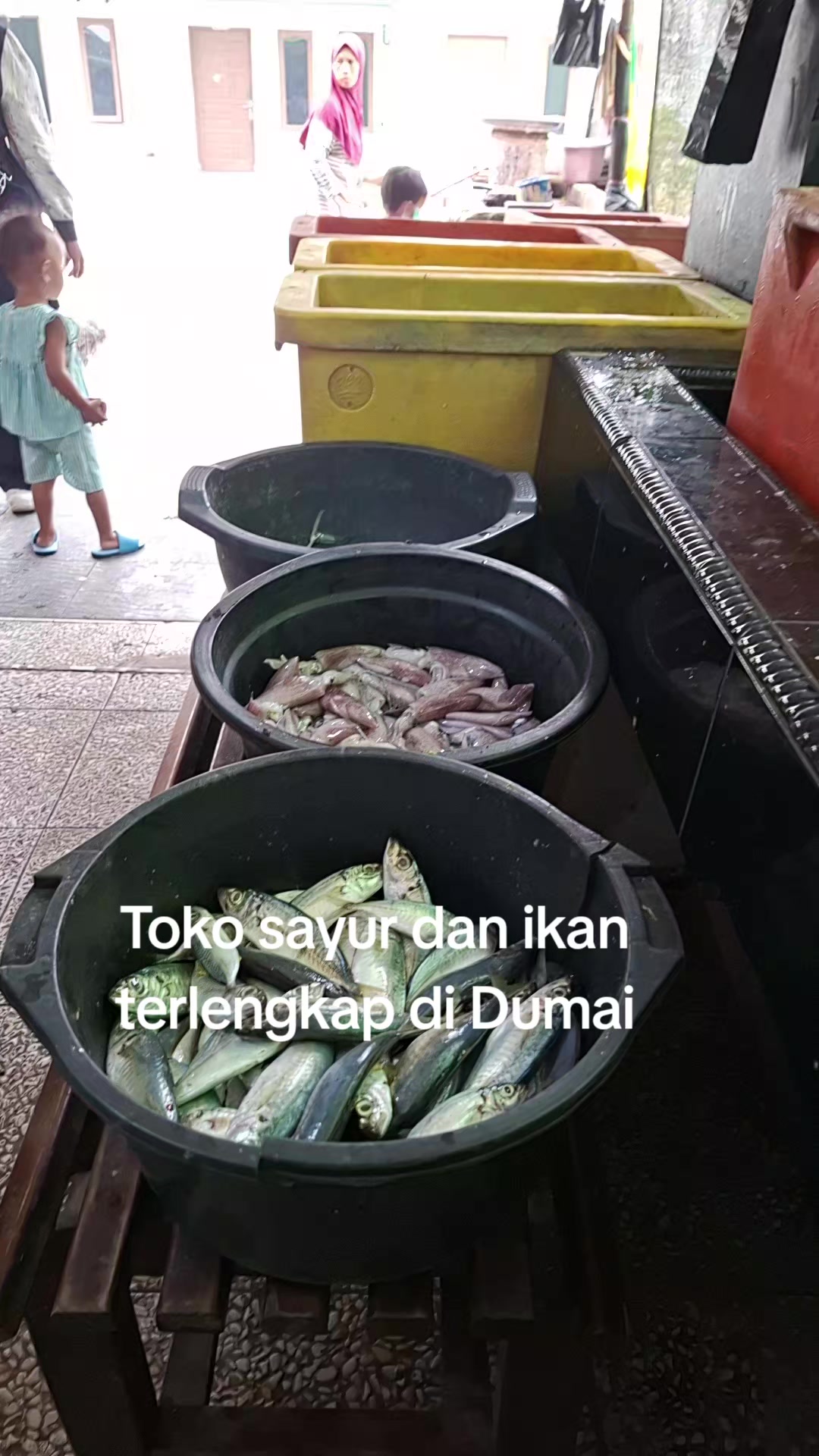 @Naga jaya