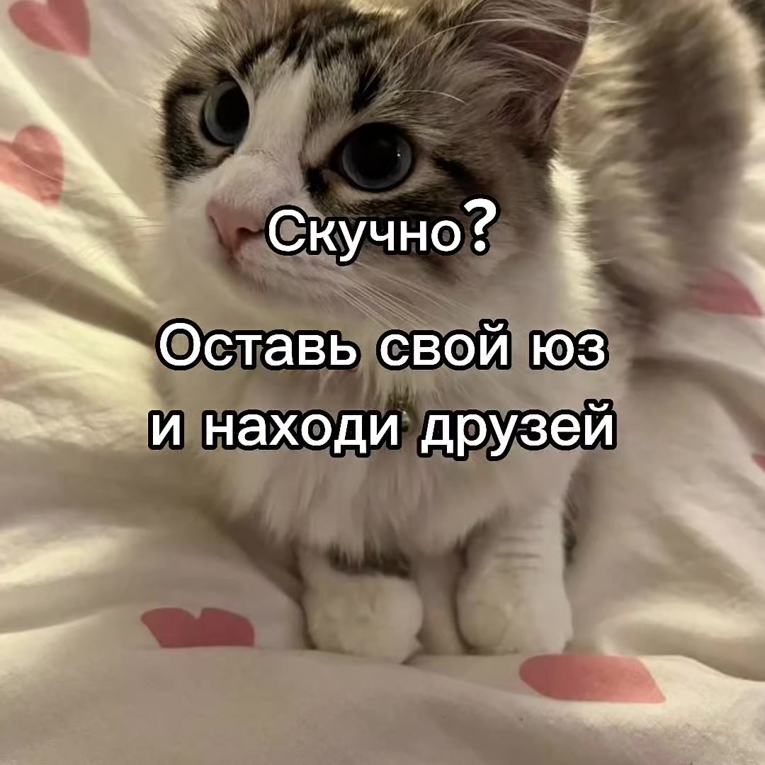 @mivrac