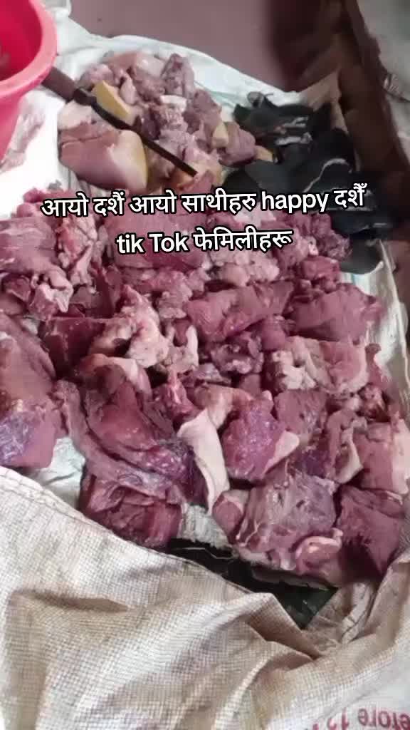 @bhumithapa44
