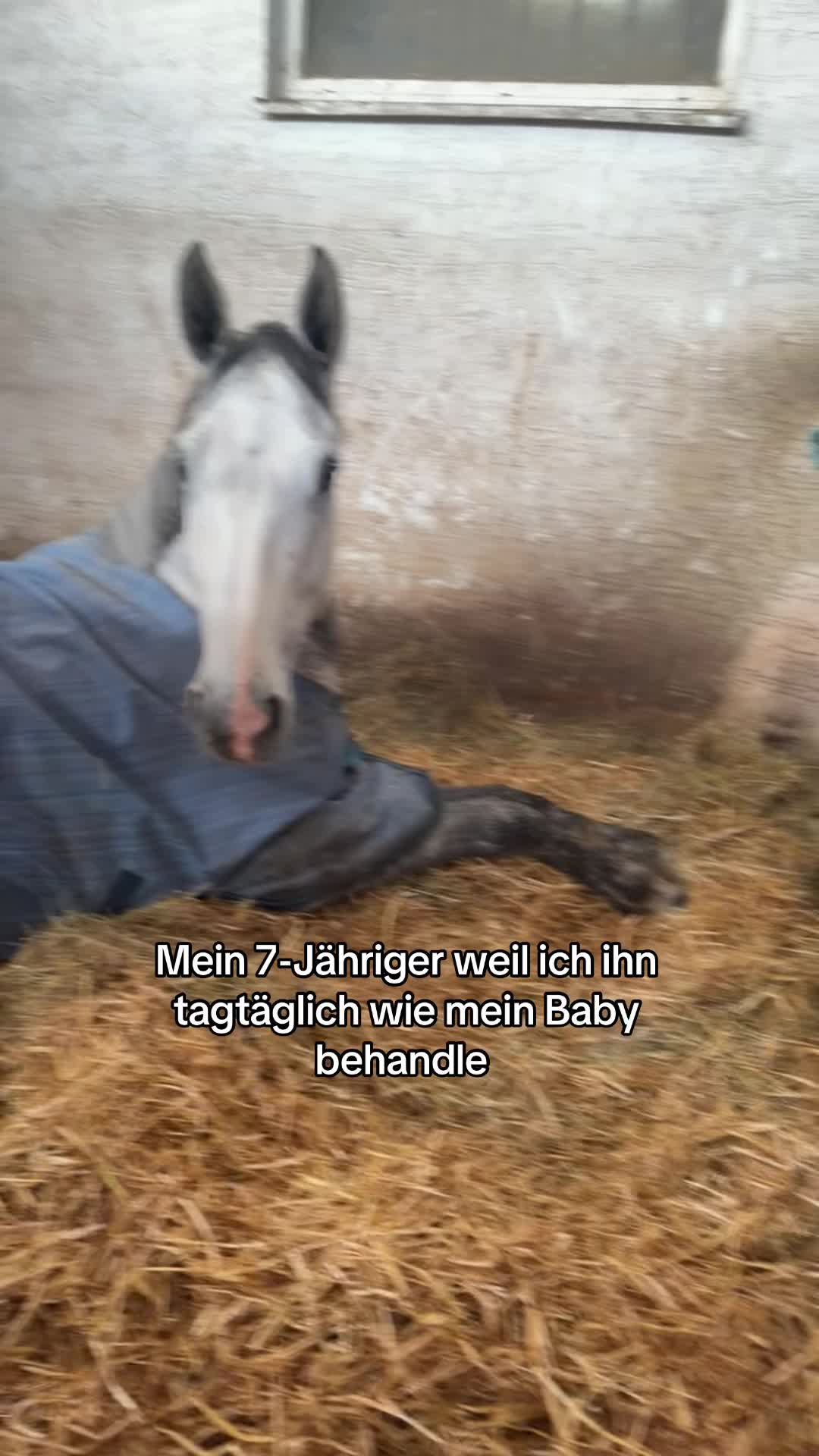 @Sally und die Jungs 💙🩷🤎