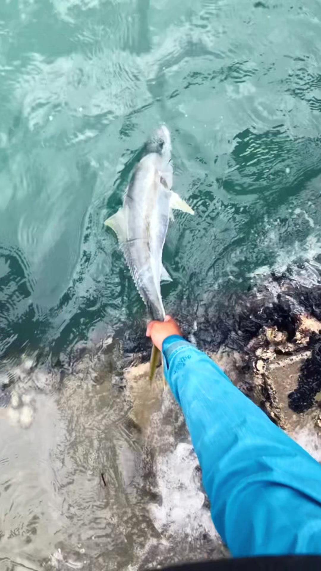 @Taqi Fishing