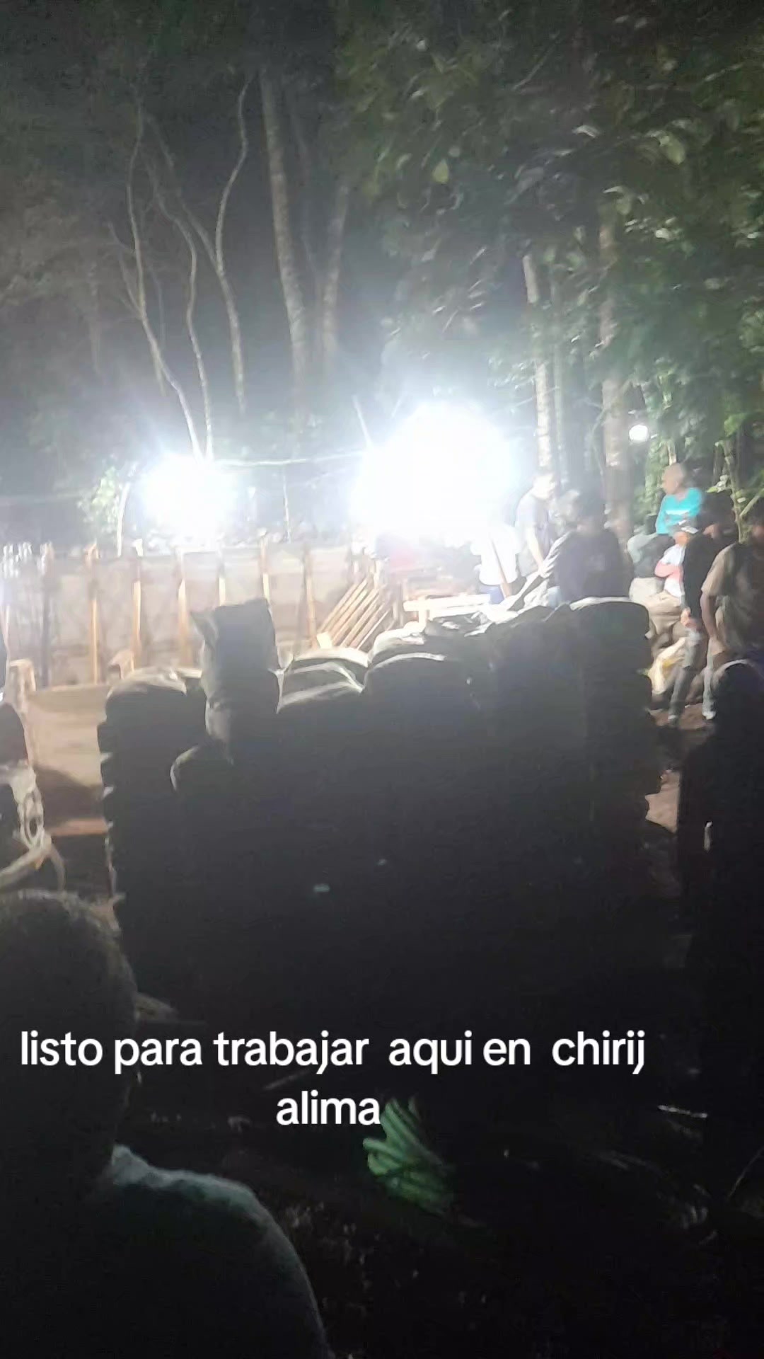 @elias macario
